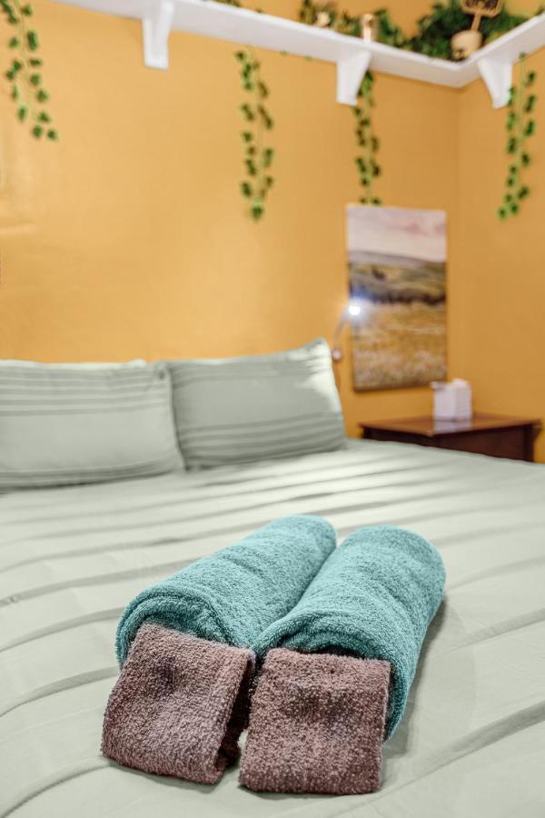 Orlando Oasis! Free Laundry & Parking Near Disney! Buitenkant foto